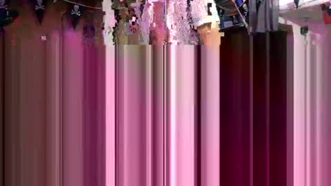 rod77knee online show from September 2025 08:07:01 AM