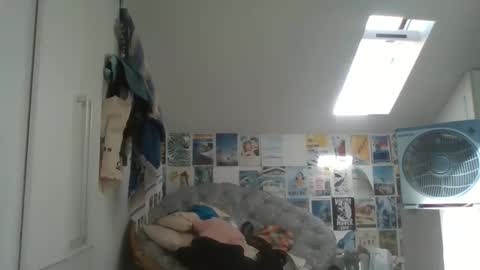 Snapshot of rodofra chatting on March 2026 11:06:01 AM rodofra online show from March 2026 11:06:01 AM