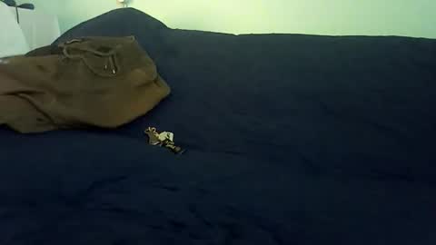 Snapshot of rojo22712 chatting on February 2026 10:19:02 PM Mr. Red online show from February 2026 10:19:02 PM