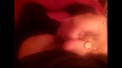 Snapshot of rollino83 chatting on December 2025 03:29:01 PM rollino83 online show from December 2025 03:29:01 PM