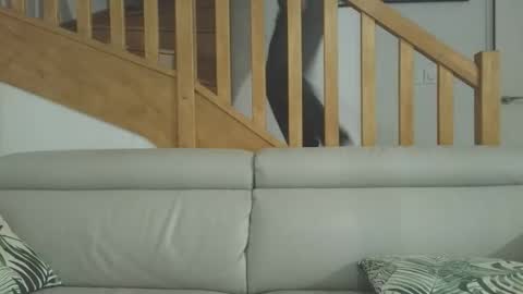 Snapshot of romaxaura_26 chatting on March 2026 06:47:02 PM Romain online show from March 2026 06:47:02 PM