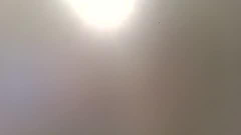 Snapshot of romeomustcum2016 chatting on December 2025 10:31:01 AM Trinked online show from December 2025 10:31:01 AM