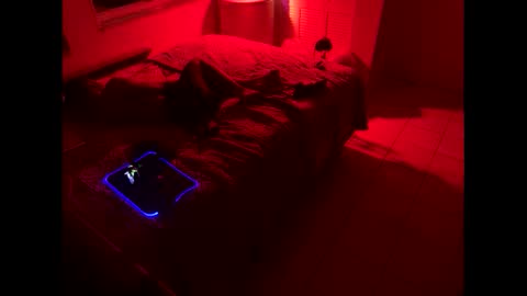 Snapshot of romeotyn chatting on February 2025 03:01:02 AM romeotyn online show from February 2025 03:01:02 AM