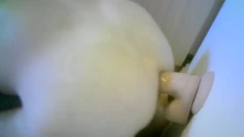 romson998181 online show from November 2025 08:27:02 AM