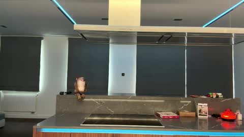 Ketlyn  is here now  help me get 50 thumbs up pls  online show from April 2026 10:35:02 AM