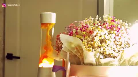 Rosalie online show from December 2025 02:18:01 AM