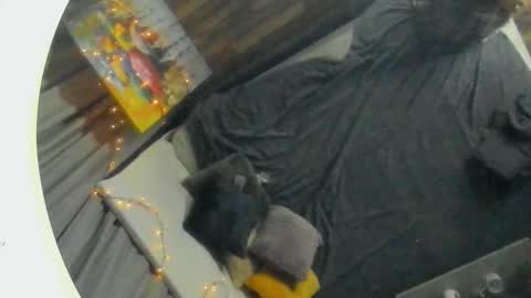 Florin online show from February 2025 02:10:02 AM