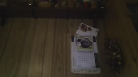 Snapshot of roses2u1958 chatting on January 2025 08:04:02 PM roses2u1958 online show from January 2025 08:04:02 PM