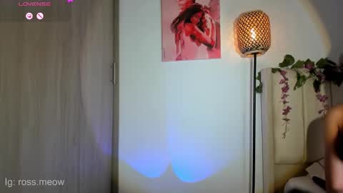 ross_meow online show from March 2026 11:31:02 PM