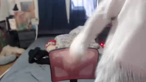 Snapshot of roxanneroulette chatting on February 2025 03:16:02 PM Silver online show from February 2025 03:16:02 PM