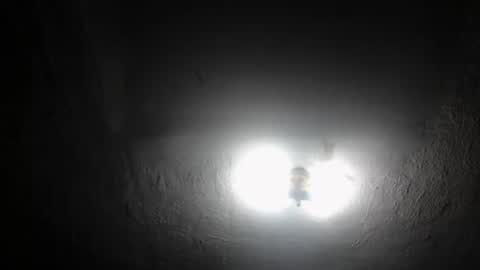 Snapshot of roxanneroulette chatting on March 2025 07:59:02 PM Silver online show from March 2025 07:59:02 PM