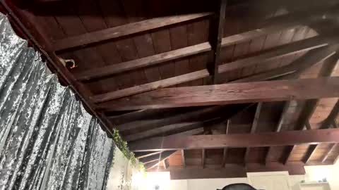 Snapshot of rp30 chatting on January 2026 01:15:01 PM Richhancocc online show from January 2026 01:15:01 PM