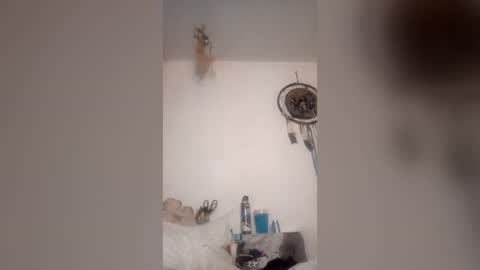 rraineonme online show from June 2026 07:56:02 AM