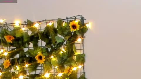 Rubby grace online show from February 2025 04:37:01 AM