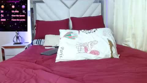 Snapshot of rubymyers chatting on January 2026 02:27:02 AM Ruby online show from January 2026 02:27:02 AM