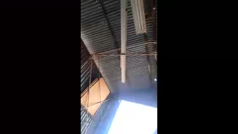 rustynuts95716 online show from March 2026 01:54:01 AM