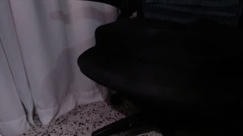 Snapshot of rx7900xtx chatting on December 2025 03:27:02 AM rx7900xtx online show from December 2025 03:27:02 AM