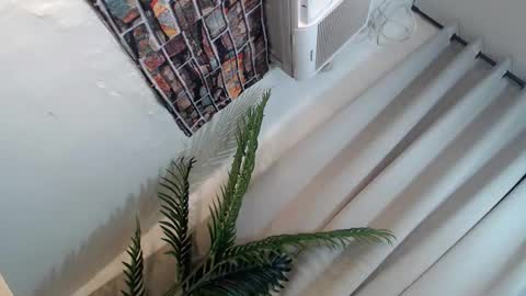 Snapshot of ryan_hyeson chatting on January 2025 06:27:01 PM Its me Ryan online show from January 2025 06:27:01 PM