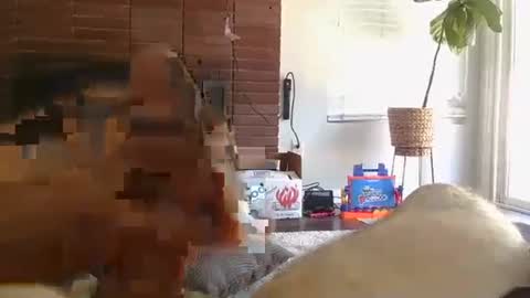 ryanbobby88 online show from September 2025 08:08:01 PM