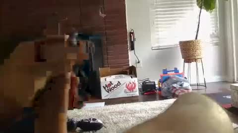 ryanbobby88 online show from September 2025 12:48:02 AM