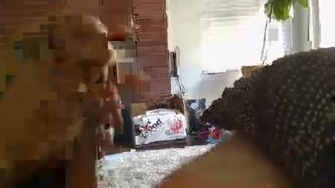 ryanbobby88 online show from September 2025 11:21:01 PM