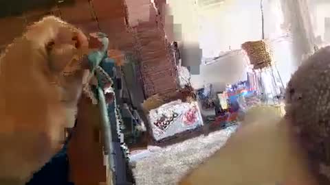 ryanbobby88 online show from September 2025 09:08:02 PM