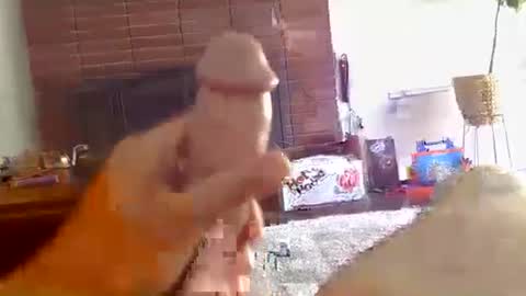 ryanbobby88 online show from October 2025 09:27:02 PM