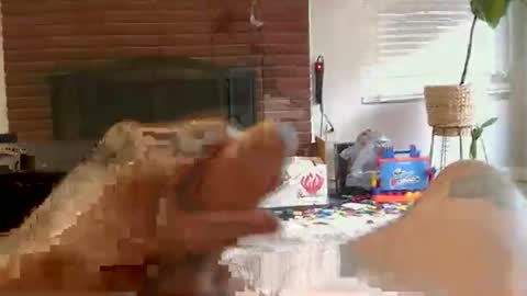 ryanbobby88 online show from November 2025 02:19:02 PM