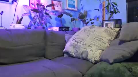 Snapshot of ryantate_88 chatting on December 2025 03:37:02 AM ryantate_88 online show from December 2025 03:37:02 AM