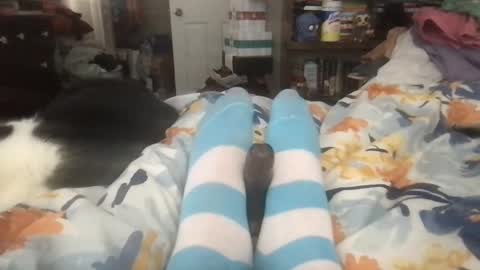 Goku online show from January 2025 06:48:01 PM