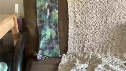 s3xkittenn online show from April 2026 06:42:02 PM