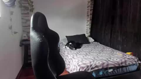 Snapshot of saad__man chatting on November 2025 02:19:01 PM Danny online show from November 2025 02:19:01 PM