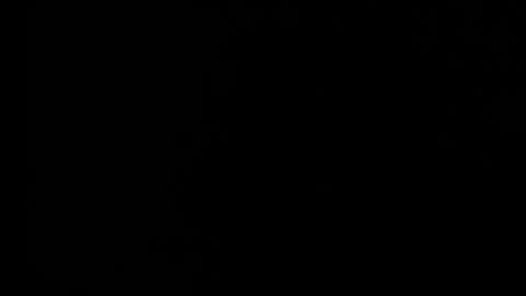 sabrina81_ online show from February 2026 10:30:02 PM