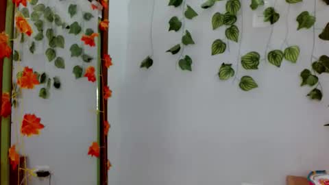 SABRI online show from February 2026 12:43:02 PM