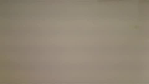 saconuts online show from December 2024 02:56:01 PM