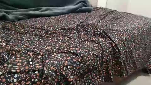 dadbod online show from December 2024 08:04:01 PM