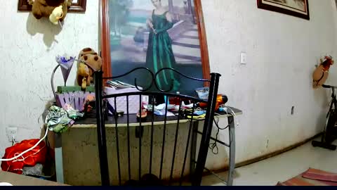 Snapshot of sailor_ruby7 chatting on October 2025 09:11:01 PM ruby chocoholic cakeholic coffeeholic cookieholic online show from October 2025 09:11:01 PM