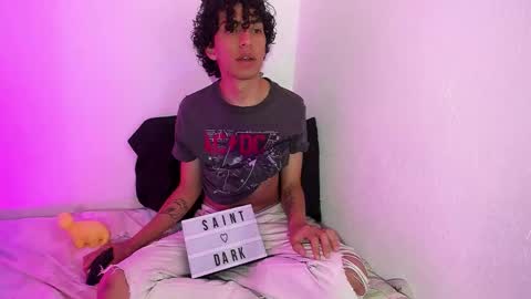 Snapshot of saint_dark chatting on October 2025 01:44:02 PM saint_dark online show from October 2025 01:44:02 PM