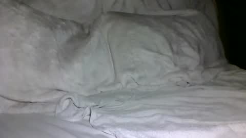 Snapshot of saintd17 chatting on February 2025 01:44:01 PM SD17 online show from February 2025 01:44:01 PM