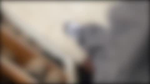 Snapshot of salgemma chatting on March 2026 03:19:02 PM salgemma online show from March 2026 03:19:02 PM