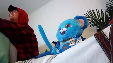 salis1981 online show from January 2025 02:04:01 AM