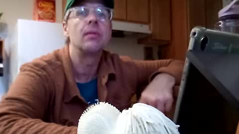 salis1981 online show from November 2025 07:01:02 PM