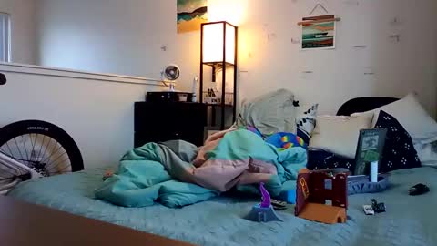 salis1981 online show from November 2025 06:40:01 PM