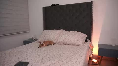 salomedyla online show from March 2026 11:53:02 PM