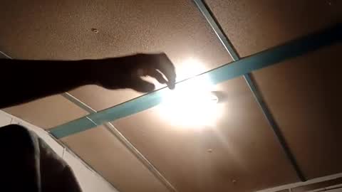 Snapshot of sam44444446 chatting on November 2025 10:59:02 PM sam44444446 online show from November 2025 10:59:02 PM