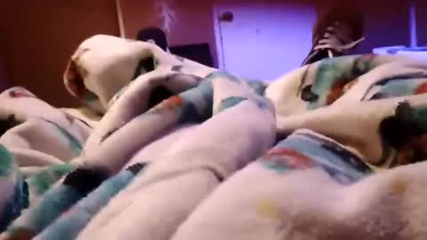 Snapshot of sam44444446 chatting on November 2025 09:22:01 AM sam44444446 online show from November 2025 09:22:01 AM