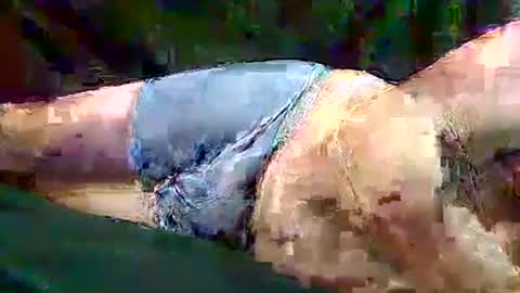 Snapshot of sam5554401727 chatting on November 2025 06:40:02 PM sam5554401727 online show from November 2025 06:40:02 PM