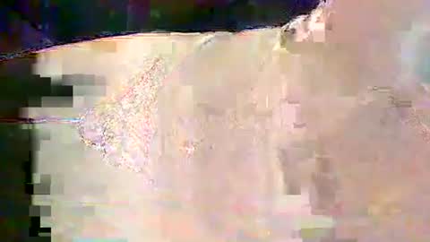 Snapshot of sam5554401727 chatting on February 2026 06:28:02 PM sam5554401727 online show from February 2026 06:28:02 PM