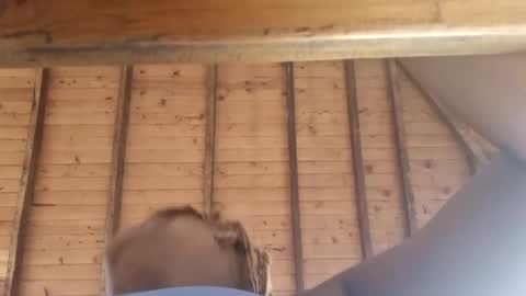 Alejandra  online show from March 2025 12:09:02 PM