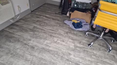 samboiamtho online show from January 2025 12:43:02 AM